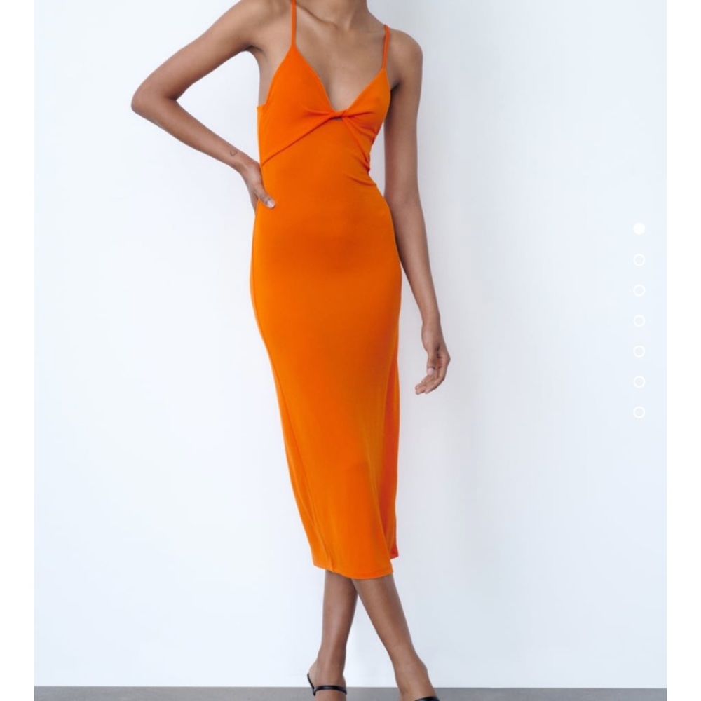 Zara Dress..